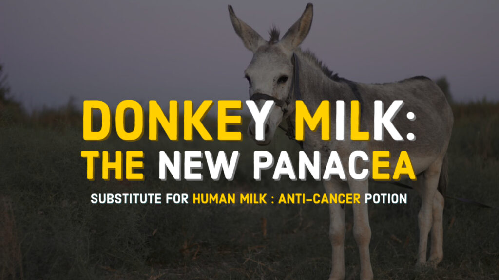 Donkey milk for human health