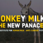 Donkey milk for human health