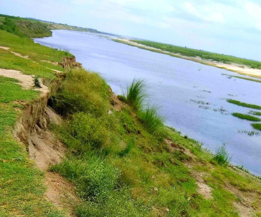 Breaking banks in Bhagwangola II