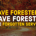 Save Foresters, Save Forests