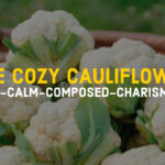 THE COZY CAULIFLOWER