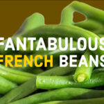 Fantabulous French Beanc