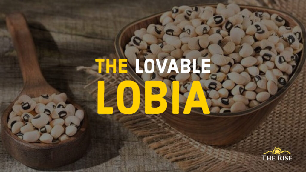 The Lovable Lobia