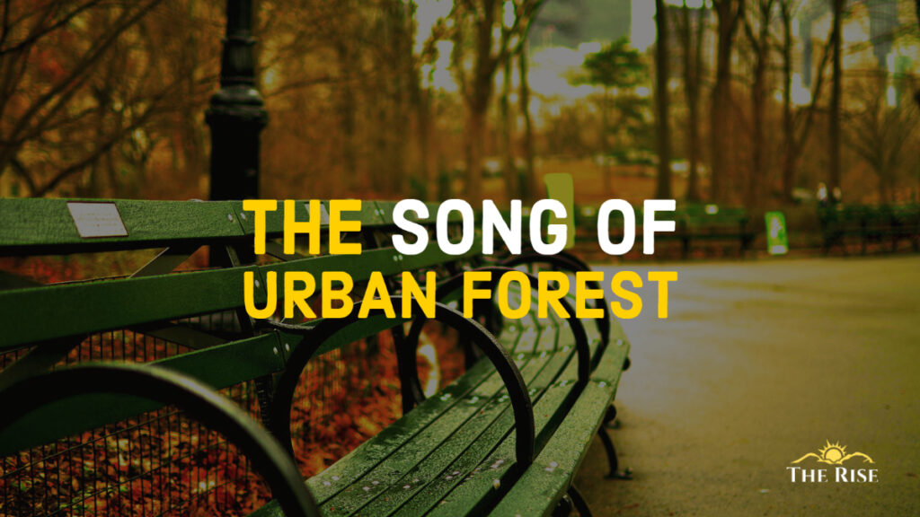 The Song of Urban Forest