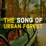 The Song of Urban Forest
