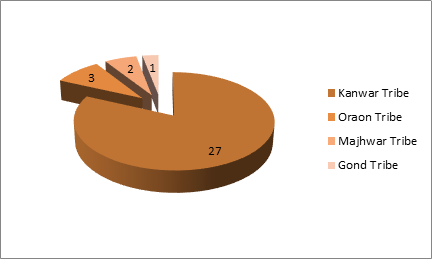Tribe-wise distribution of school dropouts