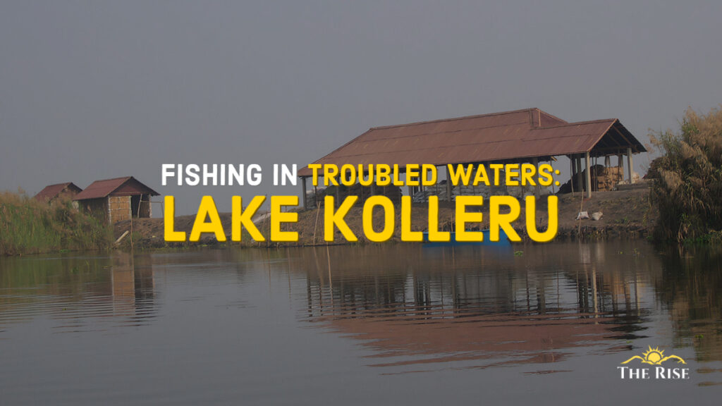 Fishing in Troubled Waters