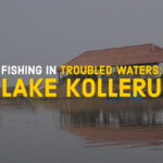 Fishing in Troubled Waters