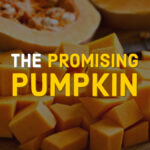 The Promising Pumpkin
