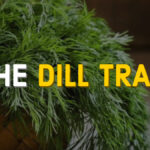 THE DILL TRAIL