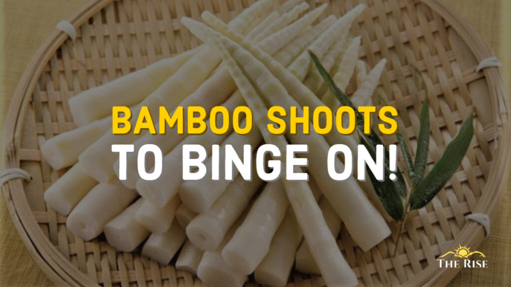 Showing 81 of 909 media items Load more UPLOADING 1 / 1 – BAMBOO SHOOTS TO BINGE ON !.jpg ATTACHMENT DETAILS BAMBOO SHOOTS TO BINGE ON