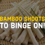 Showing 81 of 909 media items Load more UPLOADING 1 / 1 – BAMBOO SHOOTS TO BINGE ON !.jpg ATTACHMENT DETAILS BAMBOO SHOOTS TO BINGE ON