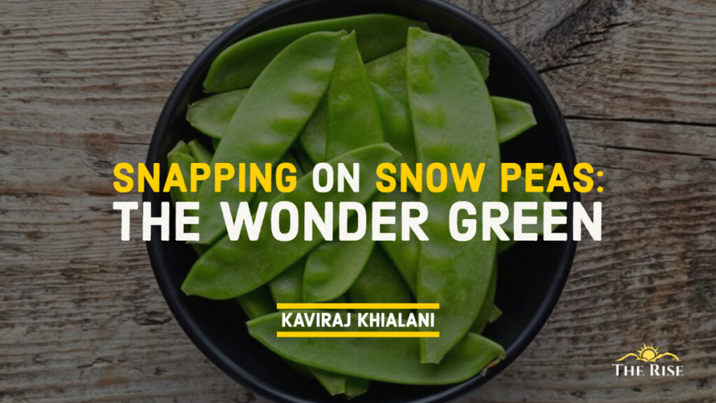 SNAPPING ON SNOW PEAS