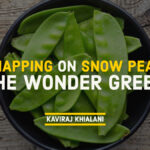 SNAPPING ON SNOW PEAS