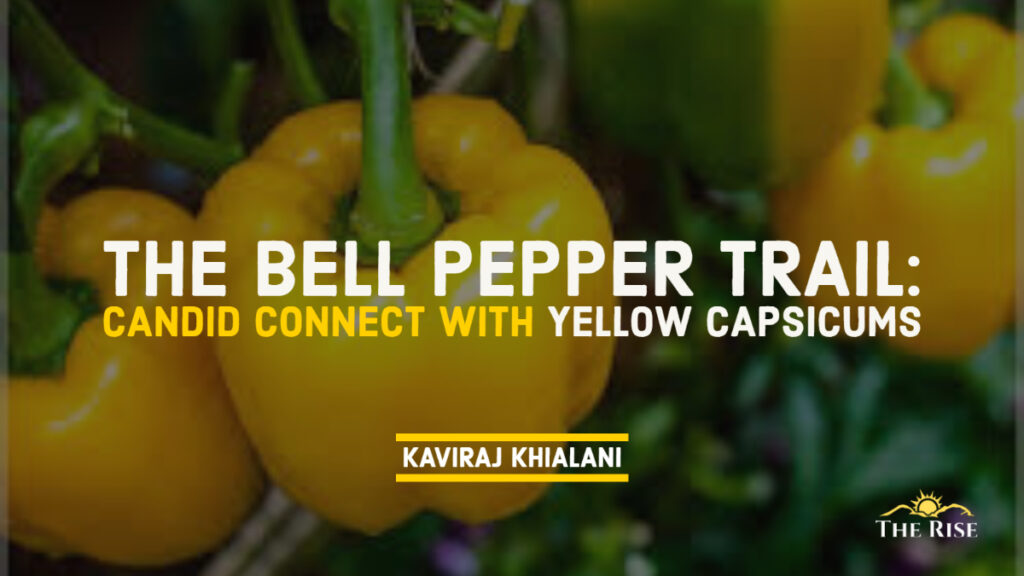 THE BELL PEPPER TRAIL