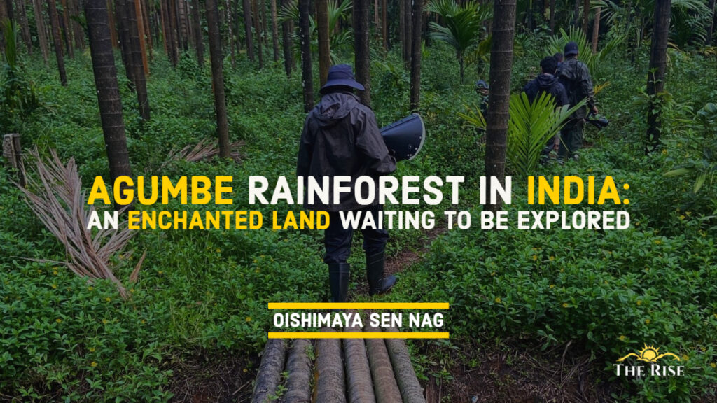 Agumbe Rainforest In India