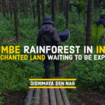 Agumbe Rainforest In India