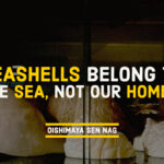 Seashells trading calls attention