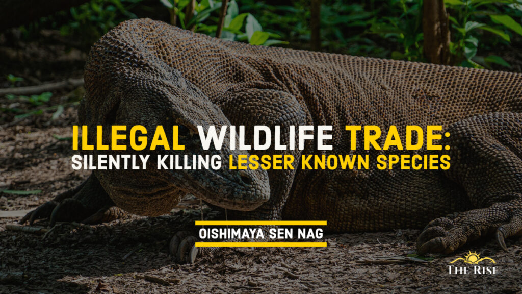 Illegal Wildlife Trade_ Silently Killing Lesser Known Species