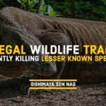 Illegal Wildlife Trade_ Silently Killing Lesser Known Species