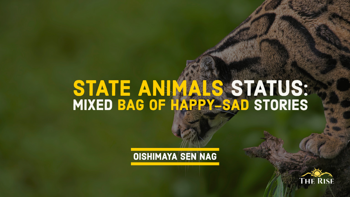 India's State Animal Conservation Status Shows Mixed Bag Results