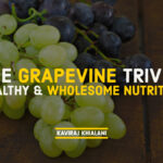 THE GRAPEVINE TRIVIA