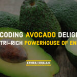 DE-CODING AVOCADO DELIGHTS!