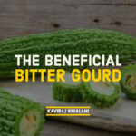 THE BENEFICIAL BITTER GOURD