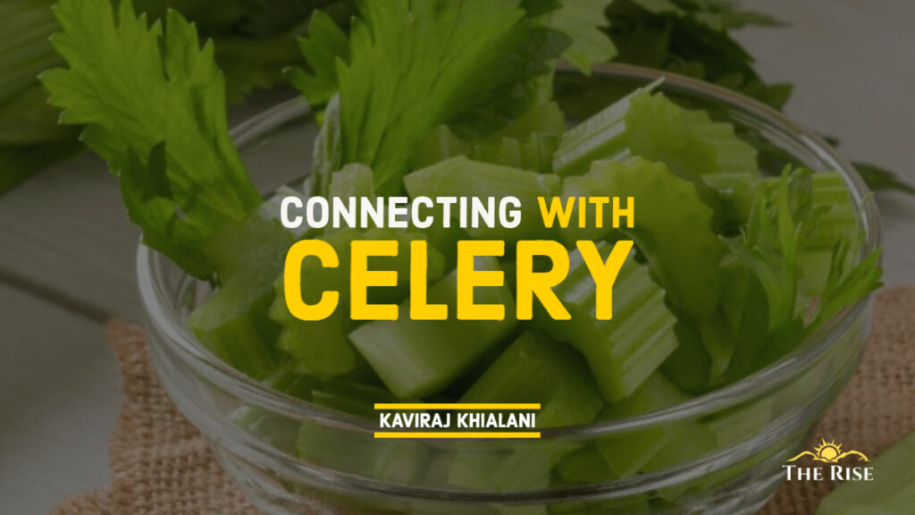 Connecting with celery