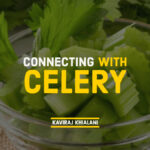Connecting with celery