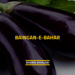 BAINGAN-E-BAHAR