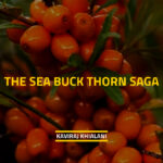 The Sea Buck Thorn Saga