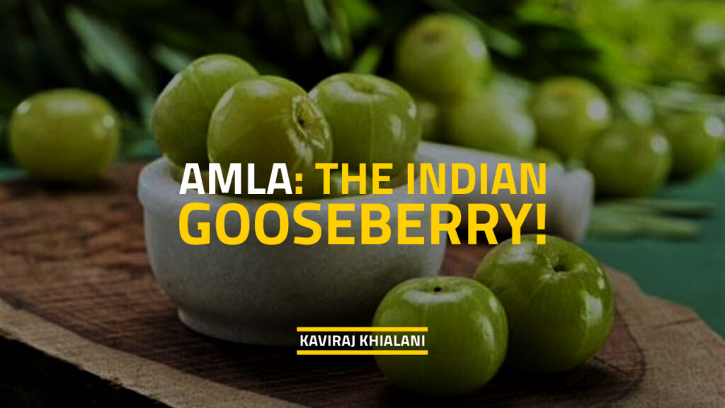 AMLA THE INDIAN GOOSEBERRY