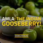 AMLA THE INDIAN GOOSEBERRY