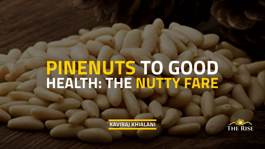 NUTTY FARE - PINENUTS TO GOOD HEALTH