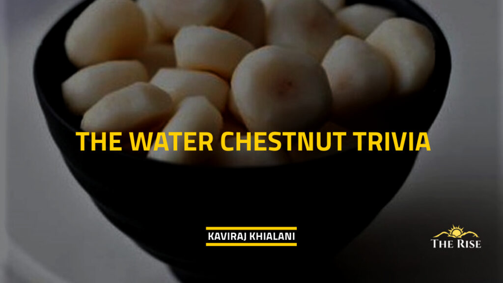 THE WATER CHESTNUT TRIVIA