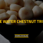 THE WATER CHESTNUT TRIVIA