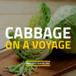 Cabbage On A Voyage