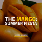 The Magnificent Mango