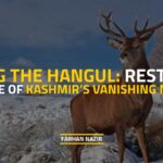 Hangul Kashmir Vanishing Monarch