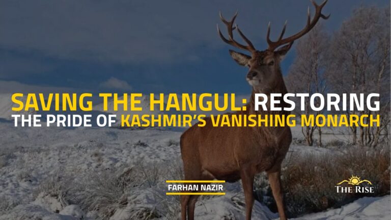 Hangul Kashmir Vanishing Monarch
