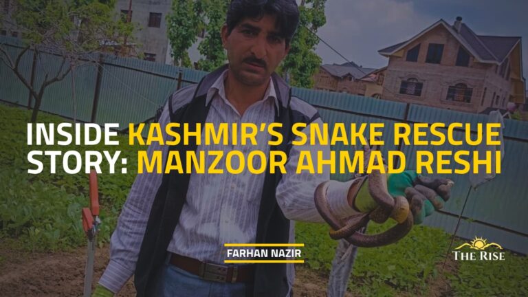Inside Kashmir’s Snake Rescue Story: Manzoor Ahmad Reshi