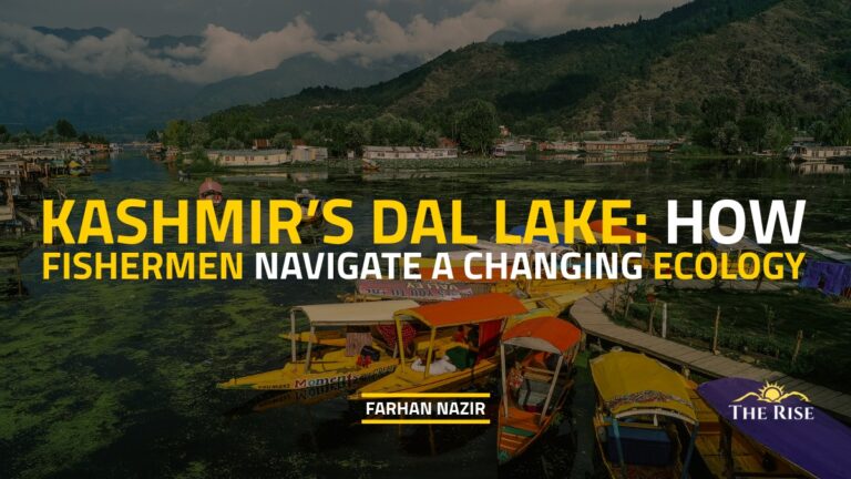 Kashmir’s Dal Lake: How Fishermen Navigate a Changing Ecology