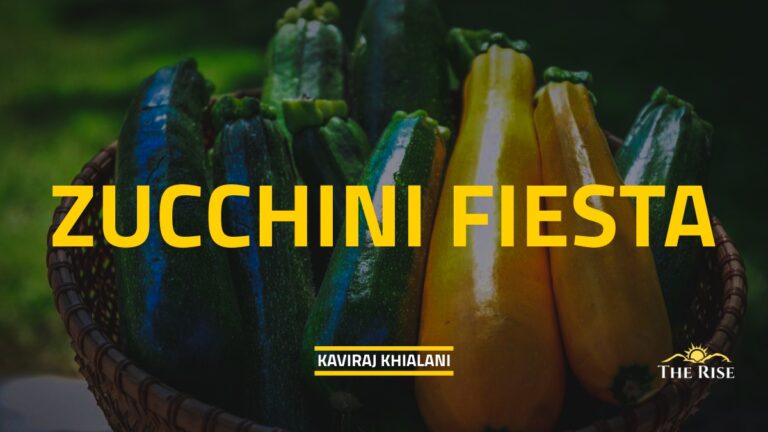 ZUCCHINI FIESTA
