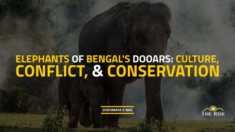 Elephants of Bengal’s Dooars: Culture, Conflict, & Conservation