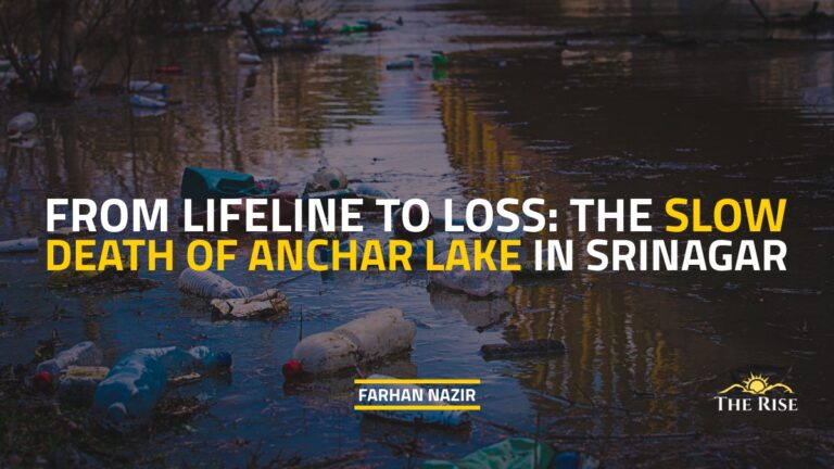 From Lifeline to Loss: The Slow Death of Anchar Lake in Srinagar