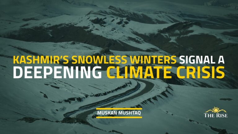 Kashmir’s Snowless Winters Signal a Deepening Climate Crisis