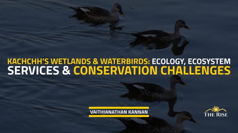 Kachchh’s Wetlands & Waterbirds: Ecology, Ecosystem Services & Conservation Challenges