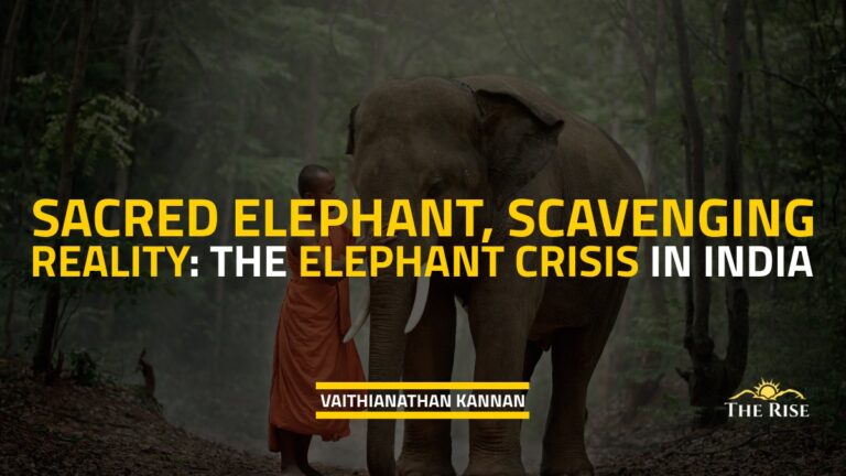 Sacred Elephant, Scavenging Reality: The Elephant Crisis in India