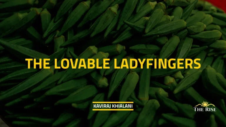 THE LOVABLE LADYFINGERS